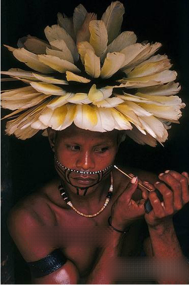 �������磺���鵺�ϵ�����Ϊ���³��ţ�ͼ��