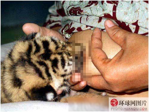 ���ز��������Ŀ���� ��ЦͼƬ