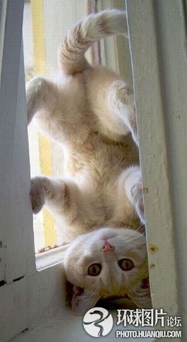 ����Ц�������Ķ���ͼ ��ЦͼƬ