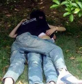 ��԰��ķ������ ͵�Ĺ�԰Ұս��ͼ��