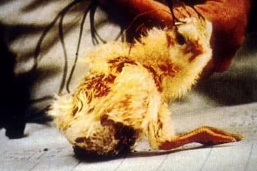 ���أ��Ҳ��̶õĶ���ʵ�����Ƭ��ͼ��