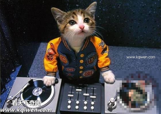 ��Ϊ���ޣ��ҵ�ѹ��Ҳ�ܴ�