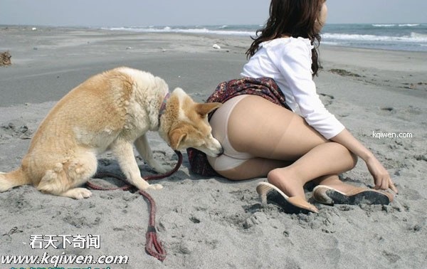 ��ɫ������ɧ��˲��